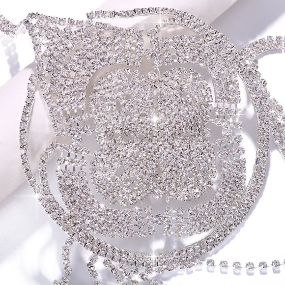 Silver Crystal Chain Showgirl Bra - Picture 5 of 5